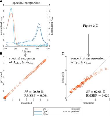 Calibration-free PAT: Locating selective crystallization or precipitation sweet spot in screenings with multi-way PARAFAC models